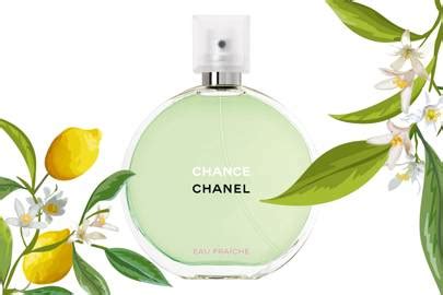 chanel citrus perfume|chanel perfume outlet online.